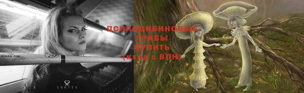 прущий лед Майский