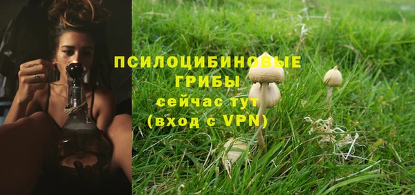 прущий лед Майский