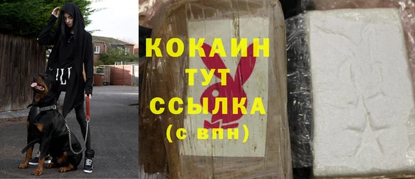 хмурый Тында