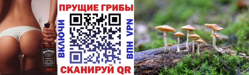Галлюциногенные грибы MAGIC MUSHROOMS  mega ТОР  Заозёрск  продажа наркотиков 