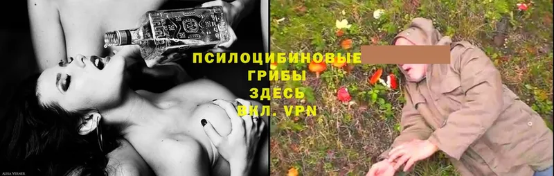 Галлюциногенные грибы Psilocybe  omg ТОР  Заозёрск 